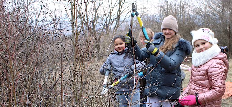Die Gehölze am Waldrand werden zurückgeschnitten, um die Fläche der Blumenwiese zu erhalten. © LPV/L. Reimoser