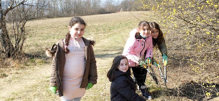 Die Gehölze am Waldrand werden zurückgeschnitten, um die Fläche der Blumenwiese zu erhalten. © LPV/J. Fischer