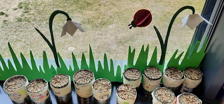 Fertig gebastelte Wildbienen-Nisthilfen. Diese können nun am Balkon oder Garten aufgehängt werden, um Wildbienen wie die Gehörnte Mauerbiene hautnah zu beobachten. © LPV/M. Steiner