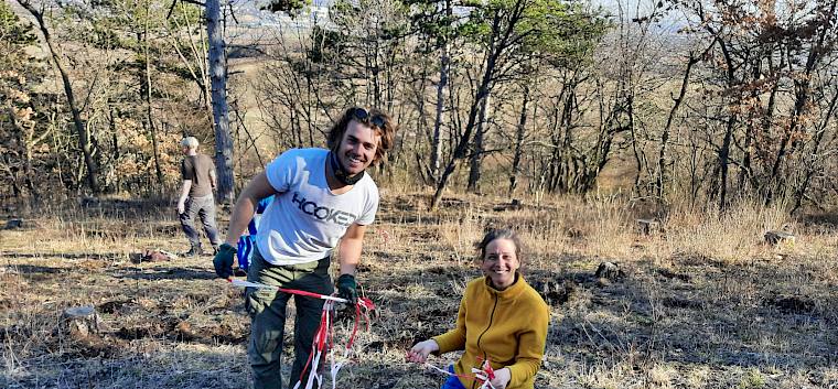 Wertvolle Gehölze werden mit Absperrbänder markiert, um sie für Gallwespen, Schmetterlinge und Co zu erhalten. © LPV/M. Steiner