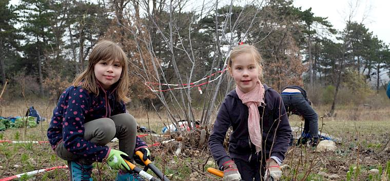 Ausgerüstet mit Astscheren und Sägen wurden entlang der Gasleitung zahlreiche Gehölze wie Liguster, Berberitzen, Eschen und Hartriegel geschnitten. © LPV/J. Fischer