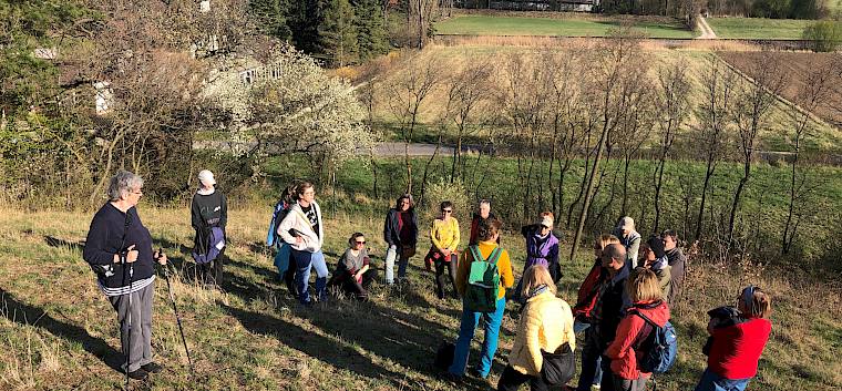 Gemeinsam mit unseren Biolog*innen entdeckten die 18 Teilnehmer*innen (viele davon aus Winzendorf) im Rahmen der zweistündigen Führung zahlreiche seltene Tiere und Pflanzen. © LPV/A. Mrkvicka