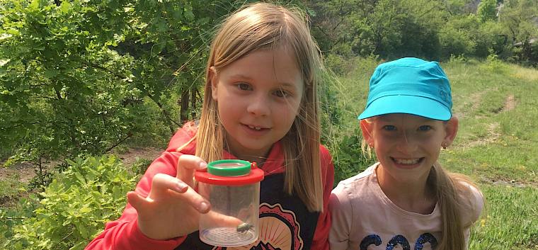 Die Schüler*innen der VS Gainfarn entdecken die Trockenrasen hinter ihrer Schule. © LPV/M. Frauendienst
