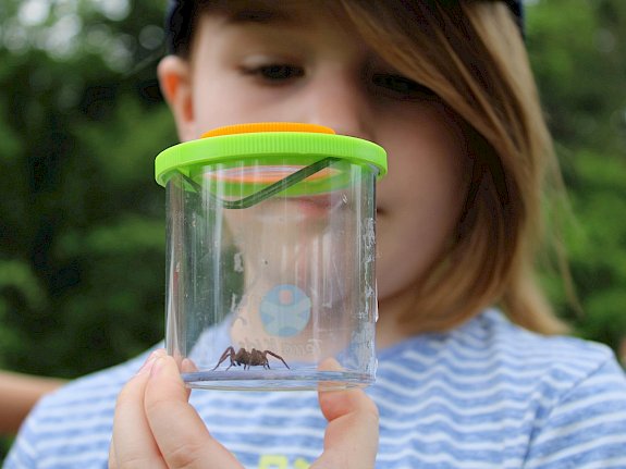 Mit der Becherlupe auf Insektensuche