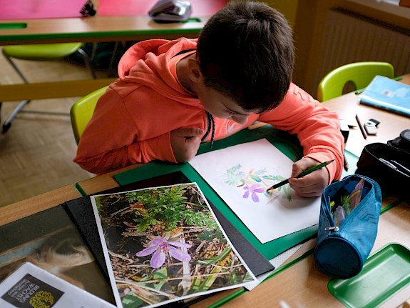 Schüler malt Blüte