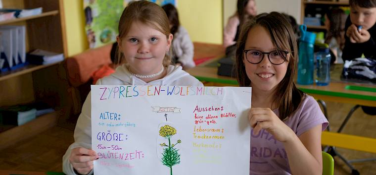 Steckbrief der Zypressen-Wolfsmilch. © LPV/J. Fischer Steckbrief der Zypressen-Wolfsmilch.