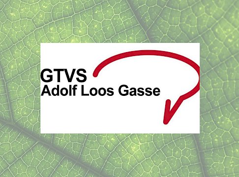 Logo GTVS Adolf Loos Gasse