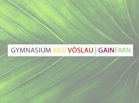 Logo Gymnasium Bad Vöslau-Gainfarn