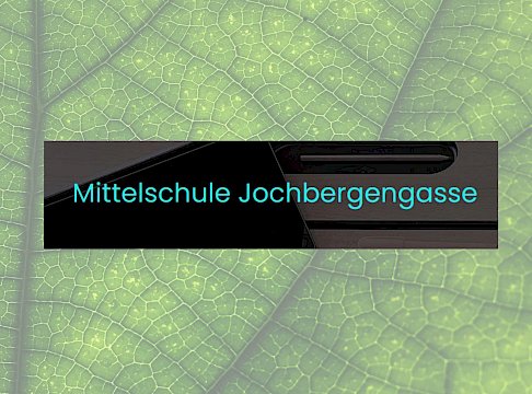 Logo MS Jochbergengasse