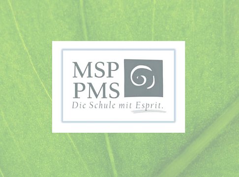 Logo Mittelschule Pelzgasse Baden