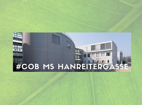 Logo MS Hanreitergasse