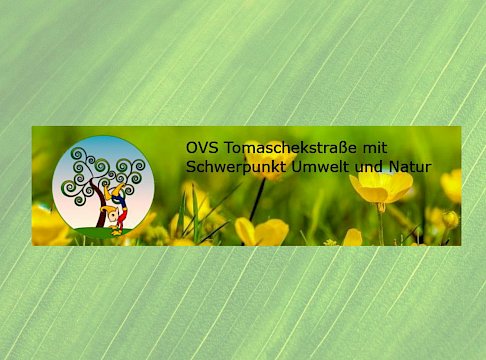 Logo OVS Tomaschekstraße