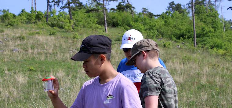 Becherlupensuche am Blosenberg. © LPV/F. Hohn Becherlupensuche am Blosenberg.