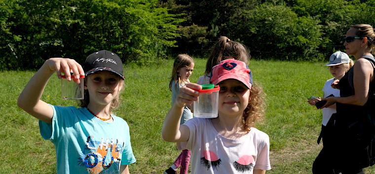 Mit den Becherlupen begaben sich die Kinder selbst auf die Suche nach Insekten und Spinnen. © LPV/J. Fischer