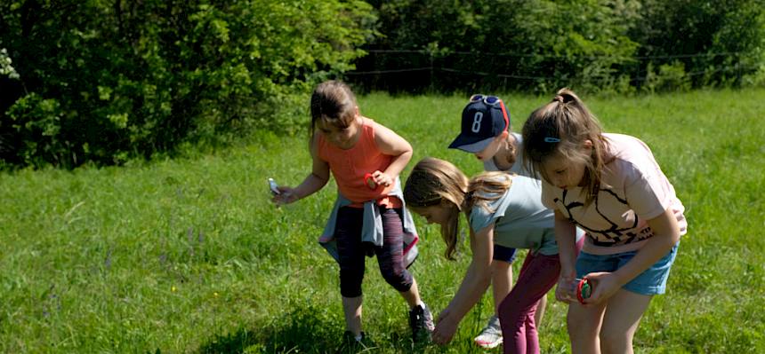 Mit den Becherlupen begaben sich die Kinder selbst auf die Suche nach Insekten und Spinnen. © LPV/J. Fischer