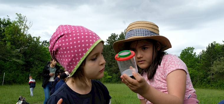 Becherlupensuche © LPV/J. Fischer Becherlupensuche