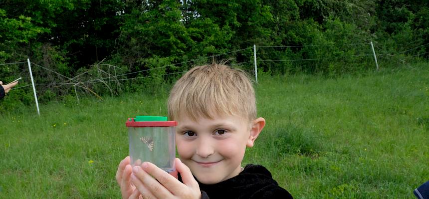 Die ersten Funde ließen nicht lange auf sich warten: Wildbienen, Heuschrecken und Schmetterlinge wurden von den Kinder entdeckt und konnten mit den Becherlupen näher betrachtet werden. © LPV/J. Fischer