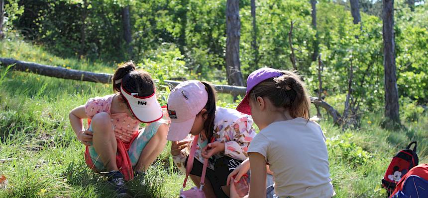 Bei der Führung entdecken die Schüler*innen die Tiere und Pflanzen ihrer Gemeinde. © LPV/F. Hohn