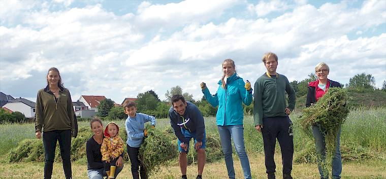 Die Freiwilligen bei der Wiesenpflege im Freizeitpark. © LPV/S. Girsch Die Freiwilligen bei der Wiesenpflege im Freizeitpark.