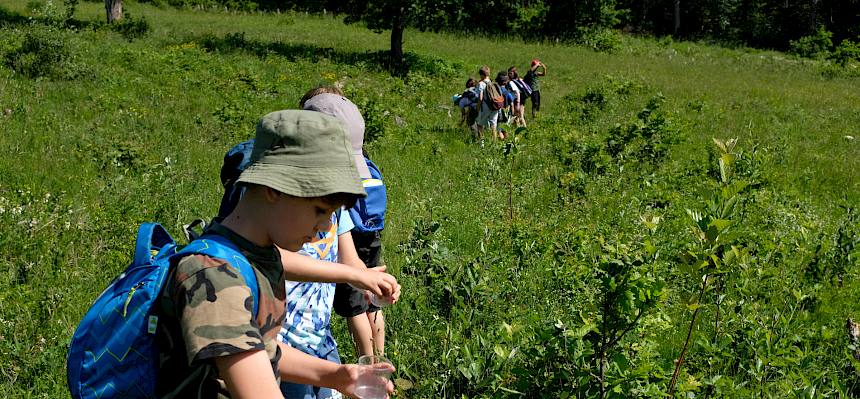 Ausgerüstet mit Becherlupen begeben sich die Kinder selbst auf die Suche nach Insekten und Spinnen. © LPV/J. Fischer