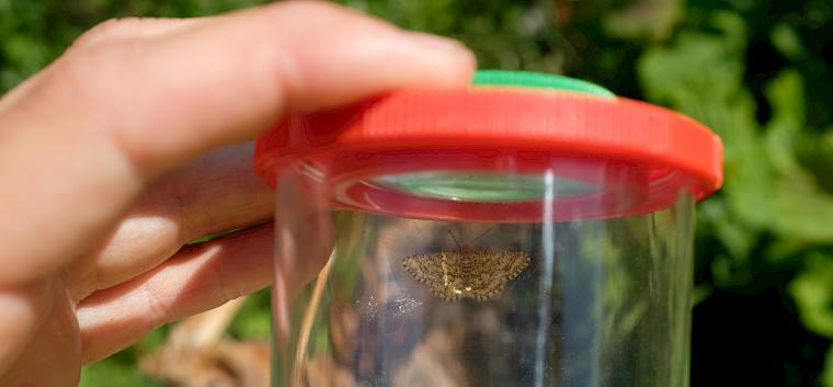 Die ersten Funde ließen nicht lange auf sich warten. © LPV/J. Fischer Die ersten Funde ließen nicht lange auf sich warten.