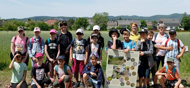 Die Schüler*innen der 4b der VS Wienerstraße. © LPV/J. Fischer Die Schüler*innen der 4b der VS Wienerstraße.