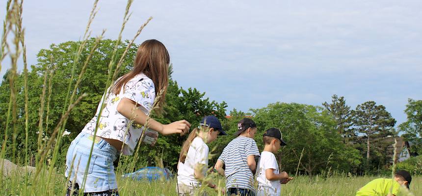 Ausgrüstet mit Becherlupen begaben sich die Schüler*innen auf die Suche nach Insekten. © LPV/A. Till