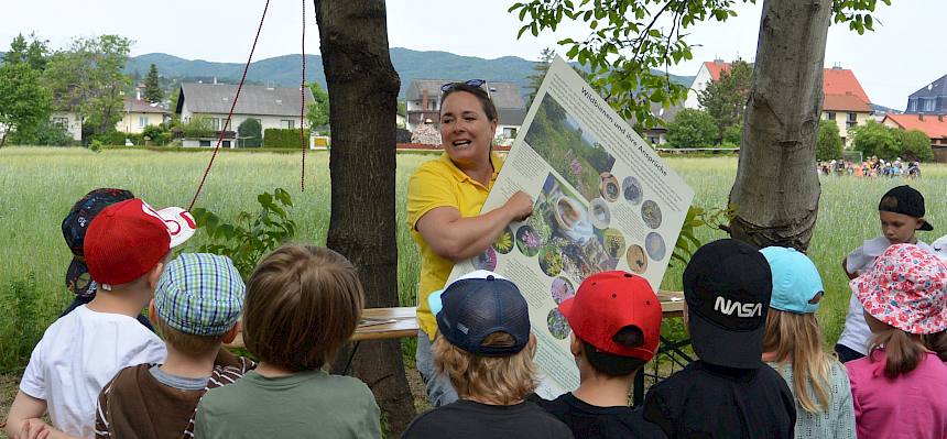 Naturpädagogin Linda erzählt den Schüler*innen spannende Geschichten rund um die Wildbienen. © LPV/L. Feuereis
