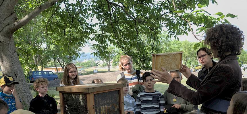 Die Kinder konnten einen Blick ins Innere eines bewohnten Schau-Bienenstocks werfen und Interessantes über die Honigbienen und ihre Produkte wie Honig und Bienenwachs erfahren. © LPV/V. Winkler