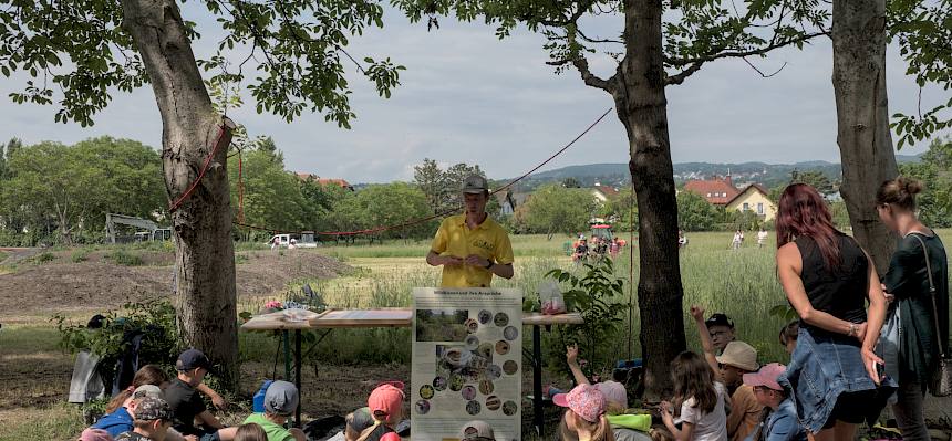 Naturpädagog Felix erzählt den Schüler*innen spannende Geschichten rund um die Wildbienen. © LPV/V. Winkler