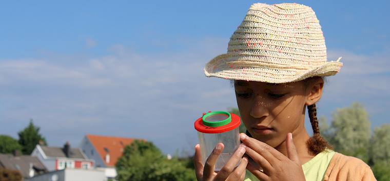 Bei der Becherlupensuche entdeckten die Schüler*innen die Tiere ihrer eingesäten Wiese. © LPV/F. Hohn