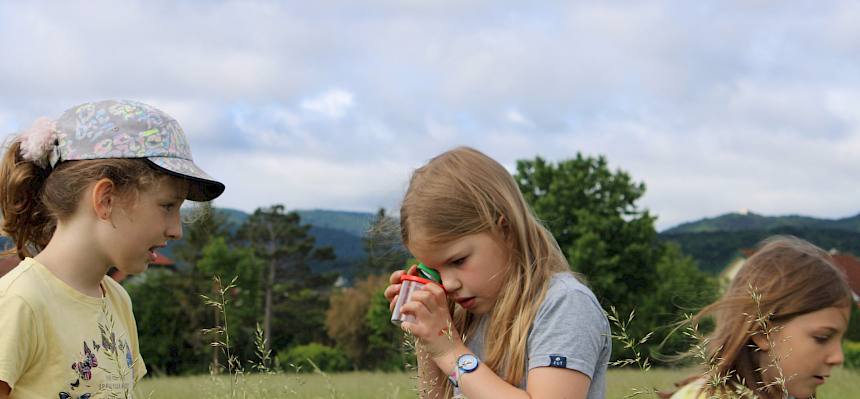 Ausgerüstet mit Becherlupen machten sich die Kinder auf die Suche nach Insekten. © LPV/F. Hohn
