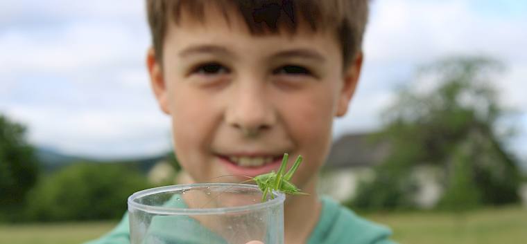 Ausgerüstet mit Becherlupen machten sich die Schüler*innen auf die Suche nach Insekten. © LPV/F. Hohn