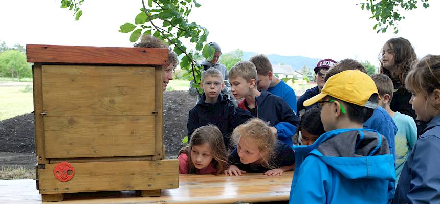 Die Kinder konnten einen Blick ins Innere eines bewohnten Schau-Bienenstocks werfen und Interessantes über die Honigbienen und ihre Produkte wie Honig und Bienenwachs erfahren. © LPV/J. Fischer