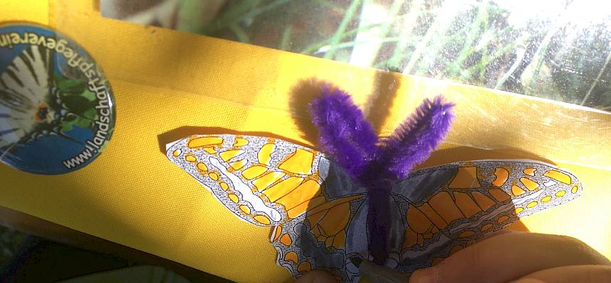 Auch Schmetterlinge konnten gebastelt werden. © LPV/M. Frauendiest