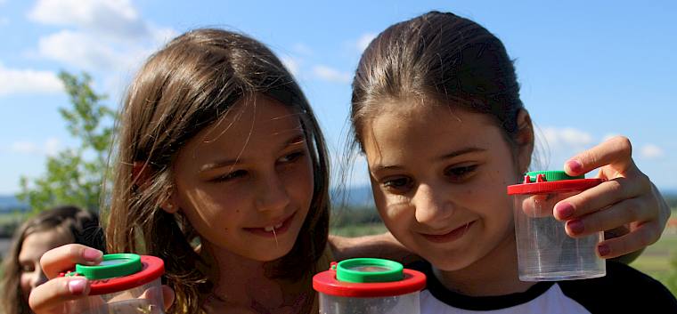 Ausgerüstet mit Becherlupen machten sich die Schüler*innen auf die Suche nach Insekten. © LPV/F. Hohn Mädchen mit Dosenlupen