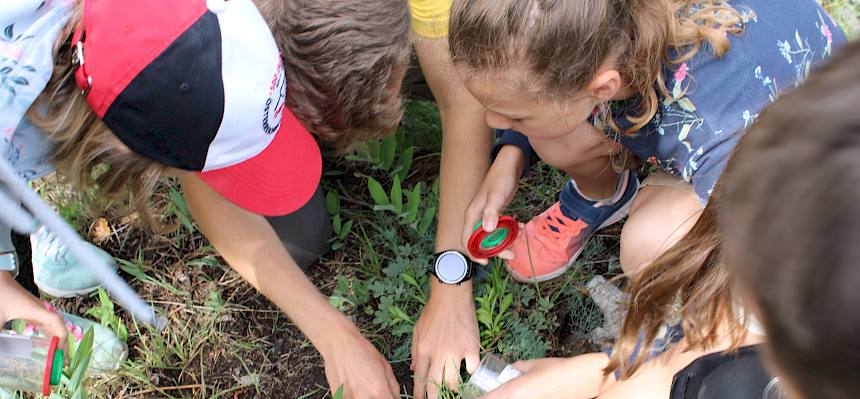 Bei der Führung entdecken die Schüler*innen die Tiere und Pflanzen ihrer Gemeinde. © LPV/N. Lintner