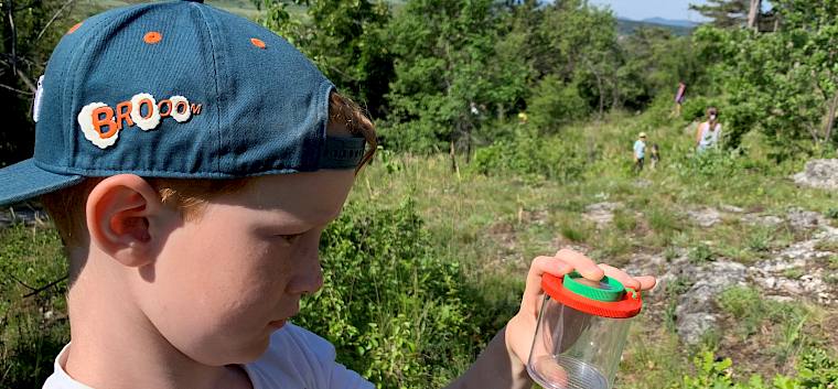 Ausgerüstet mit Becherlupen begeben sich die Kinder selbst auf die Suche nach Insekten und Spinnen. © LPV/E. Weisz-Emesz