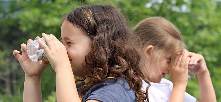 Wildbienen, Schmetterlinge und Heuschrecken schafften es in die Becherlupen. © LPV/F. Hohn