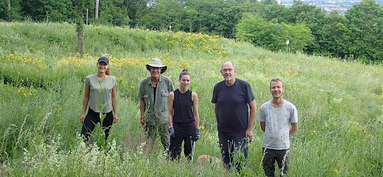 Fünf Freiwillige engagierten sich heute für die Rudolfshofwiese. © LPV/S. Girsch