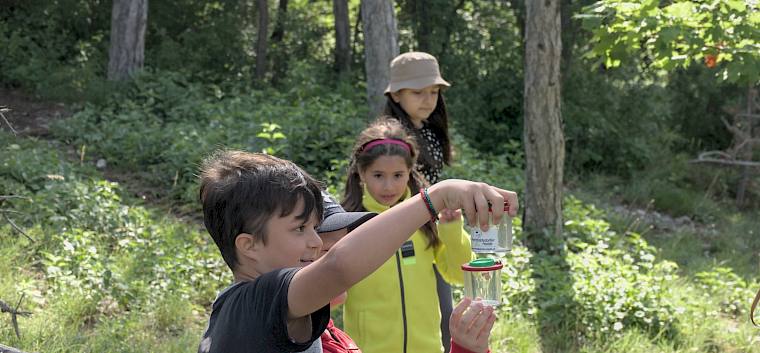 Ausgerüstet mit Becherlupen ging es auf die Suche nach Insekten. © LPV/A. Temel