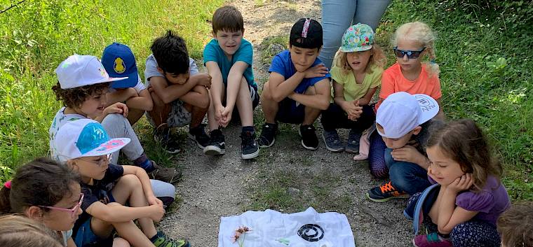 Was haben ein Handschuh, ein Hai und ein Apfel mit dem Trockenrasen zu tun? © LPV/E. Weisz-Emesz