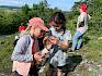 Ausgerüstet mit Becherlupen begeben sich die Kinder selbst auf die Suche nach Insekten und Spinnen. © LPV/E. Weisz-Emesz