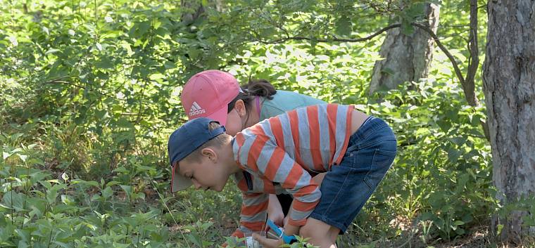 Becherlupensuche © LPV/A. Temel Becherlupensuche
