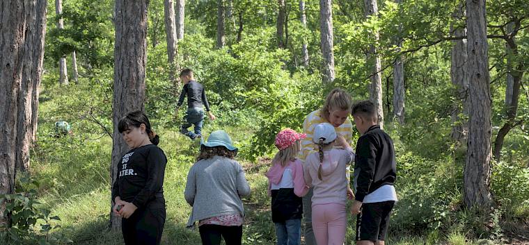Die ersten Funde ließen nicht lange auf sich warten. © LPV/A. Temel Die ersten Funde ließen nicht lange auf sich warten.