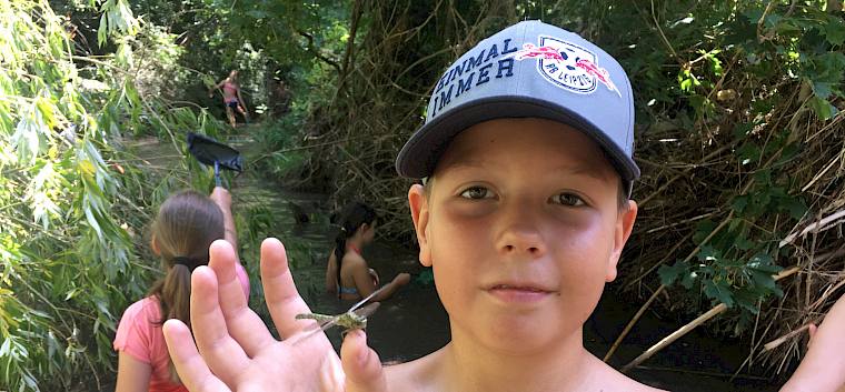 Beim Entdecken am Mödlingbach im Waldl. © LPV/M. Frauendienst Beim Entdecken am Mödlingbach im Waldl.