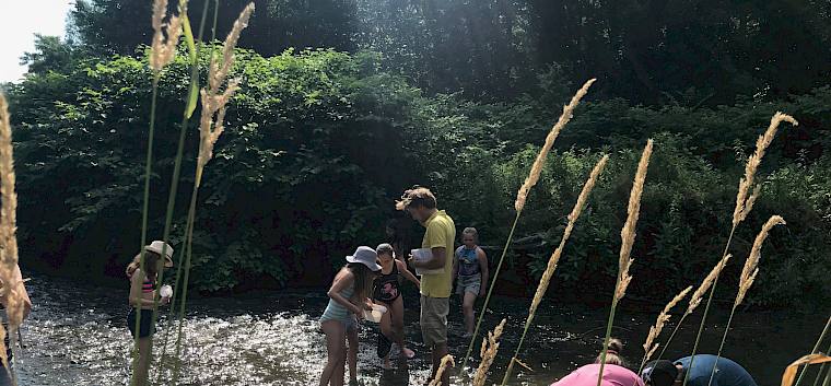 Gemeinsam wurden beim Tümpeln zahlreiche Bachlebewesen gefunden. © LPV/S. Lütgehetmann Kinder tümpeln in Schwechat