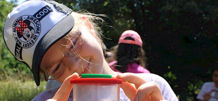 Ausgerüstet mit Becherlupen entdeckten die Kinder die Insektenvielfalt der artenreichen Wiesen. © LPV/F. Hohn Kind mit Becherlupe