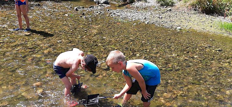 Ausgerüstet mit Kescher, Kübel und kleinen Wannen machten sich die Kinder selbst an die Erforschung der Schwechat. © LPV/M. Steiner Kinder tümpeln in Schwechat