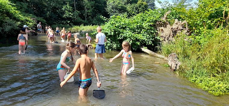 Ausgerüstet mit Kescher, Kübel und kleinen Wannen machten sich die Kinder selbst an die Erforschung der Schwechat. © LPV/V. Winkler Kinder tümpeln in Schwechat